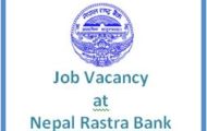 Job Vacancy at Nepal Rastra Bank